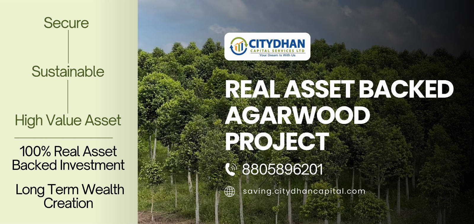 Sunset Over the City